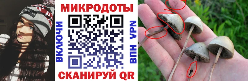 Галлюциногенные грибы Cubensis  Ува 